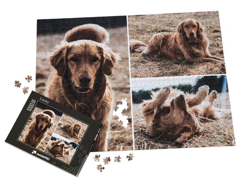 Puzzle foto mare asamblat de 1000 piese XXL