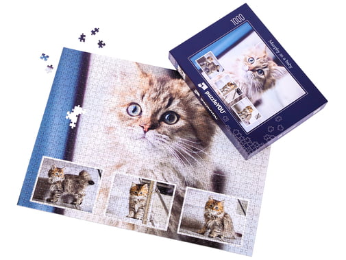Puzzle foto asamblat de 1000 piese