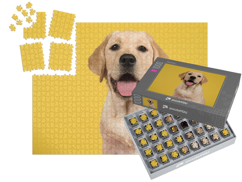 SMART SORTED Puzzle foto de 1000 piese, cutie inclusă
