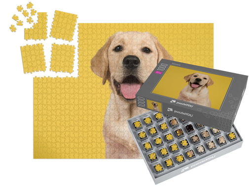 SMART SORTED Puzzle foto de 1000 piese, cutie inclusă